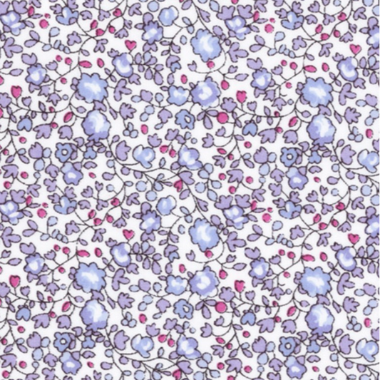 Eloïse mauve et bleu